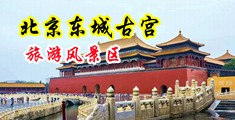 goodnight男人插女人的黄色网站中国北京-东城古宫旅游风景区